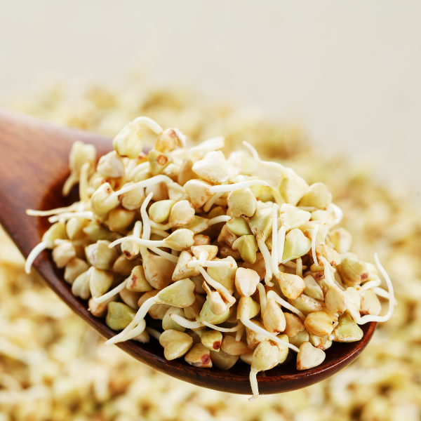 Organic Hulled Buckwheat Groats Sprouting and Microgreen Seeds 5Pounds